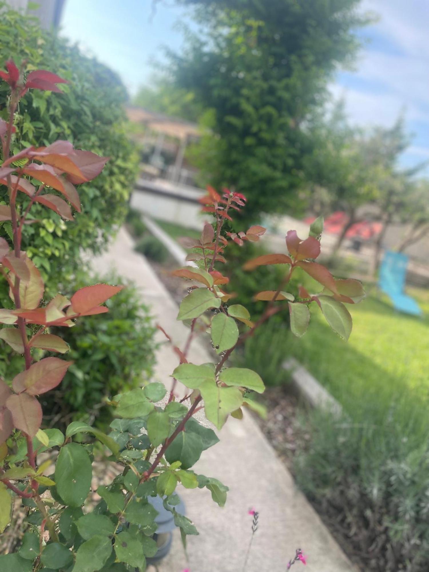 Villa Le Luberon Mérindol 외부 사진